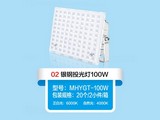 yͶ100W
