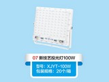 ¼ˇͶ100W
